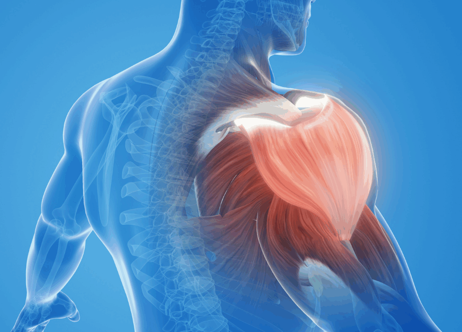 Why Shoulder Pain Is So Common